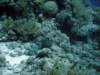 dsc05780_small.jpg