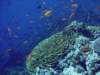 dsc05781_small.jpg