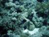 dsc05783_small.jpg