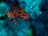 dsc05786_small.jpg