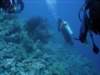 dsc05791_small.jpg