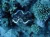 dsc05792_small.jpg