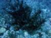 dsc05793_small.jpg