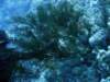 dsc05794_small.jpg