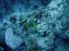 dsc05797_small.jpg