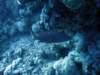dsc05798_small.jpg