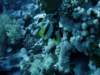dsc05799_small.jpg