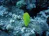 dsc05800_small.jpg