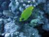 dsc05801_small.jpg