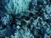 dsc05803_small.jpg