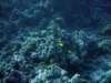 dsc05805_small.jpg