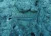 dsc05809_small.jpg