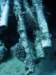 dsc05811_small.jpg