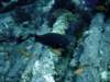 dsc05812_small.jpg