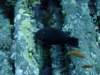 dsc05813_small.jpg