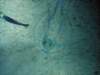 dsc05815_small.jpg