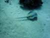dsc05816_small.jpg
