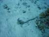 dsc05817_small.jpg