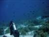 dsc05818_small.jpg