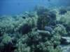 dsc05819_small.jpg