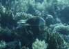 dsc05820_small.jpg