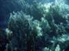 dsc05821_small.jpg