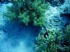 dsc05822_small.jpg