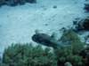 dsc05823_small.jpg