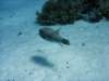 dsc05824_small.jpg