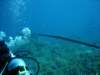 dsc05826_small.jpg