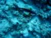 dsc05847_small.jpg
