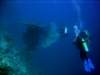 dsc05849_small.jpg