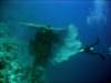 dsc05850_small.jpg