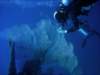 dsc05851_small.jpg