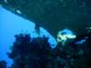 dsc05852_small.jpg