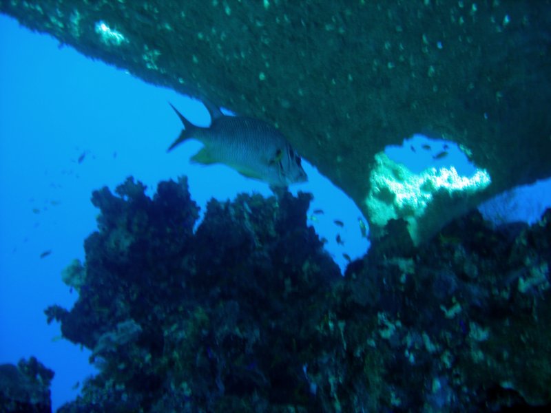 dsc05854.jpg