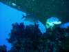 dsc05854_small.jpg