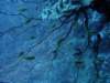 dsc05855_small.jpg