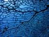 dsc05856_small.jpg