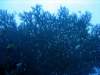 dsc05857_small.jpg