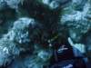 dsc05859_small.jpg