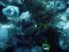 dsc05861_small.jpg