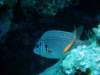 dsc05862_small.jpg