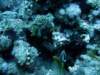 dsc05863_small.jpg