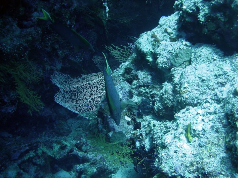 dsc05864.jpg
