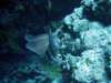 dsc05864_small.jpg