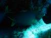 dsc05867_small.jpg
