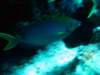 dsc05868_small.jpg