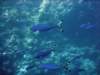 dsc05869_small.jpg