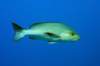 dsc05871_small.jpg